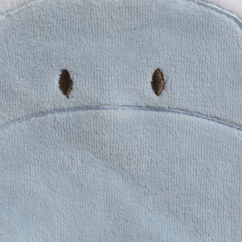 Infants Velour Hat With Applique Embroidery image number null